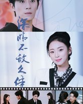 深情不敌久伴 高清封面