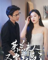 萧总夫人又要离婚了 高清封面