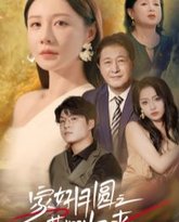 家好月圆之女儿荣耀归来 高清封面
