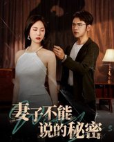 妻子不能说的秘密 高清封面