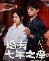 婚有七年之痒 高清封面