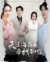 天涯海角也要找到你 高清封面