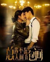 总裁不在人间在包间 高清封面