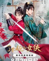 了不起的女侠 封面