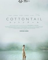 棉尾兔 封面