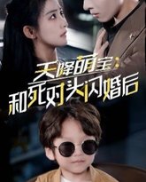 天降萌宝：和死对头闪婚后 高清封面