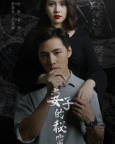 妻子不能说的秘密（妻子的秘密） 高清封面