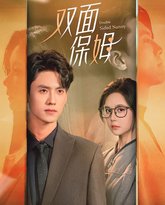 双面保姆 高清封面