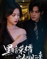 黑暗荣耀之女佣归来 高清封面