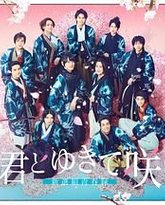 与你一起绽放 新选组青春录 封面