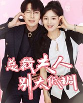 总裁夫人别太低调 高清封面