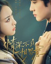 情深不负相思意 高清封面