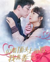 闪婚顶头上司后我真香了 封面