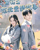 繁花之东北爱情故事 高清封面