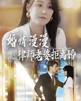 婚情漫漫：律师老婆拒离婚 高清封面