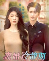 离婚冷静期 高清封面