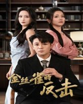 金丝雀的反击 高清封面