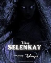 Selenkay 封面
