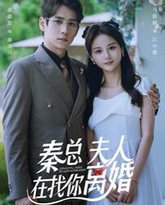 秦总，夫人在找你离婚 高清封面