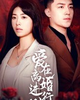 爱在离婚进行时 高清封面