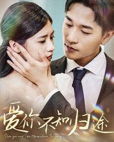 爱你不知归途（爱你漫漫长路） 高清封面