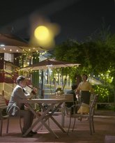 我把失忆霸总捡回家 高清封面