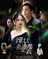 全职太太的逆袭 高清封面