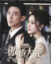 回国后，傲娇大佬日日痴缠（攀缠） 高清封面