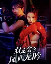 双龙会之凤鸣龙吟 高清封面