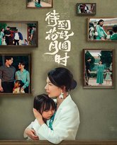 待到花好月圆时 高清封面