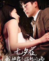 七夕夜我被霸总强制闪婚 高清封面