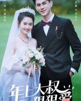 年上大叔狠狠爱 高清封面