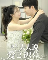 厉总夫人说爱已迟暮 高清封面