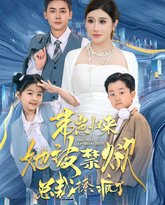 带崽归来她被禁欲总裁撩疯了 高清封面