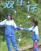 双生花 高清封面