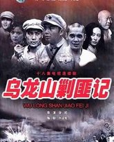 乌龙山剿匪记 封面