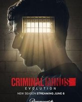 犯罪心理：演变 第十七季 高清封面