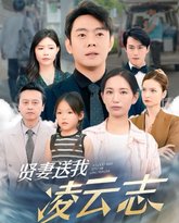 贤妻送我凌云志 封面