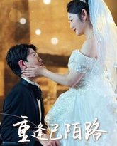 重逢已陌路（林千金她装不下去了）（她如月光碎向星夜） 封面