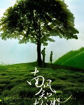 南风知故渊 高清封面