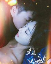 爱在夜色阑珊处 高清封面