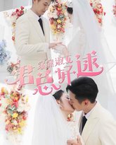 窈窕淑女君总好逑 高清封面