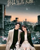 你比星光美丽 封面