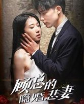 顾总的隐婚悲妻 高清封面