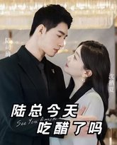 陆总今天吃醋了吗 高清封面