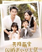 天降萌宝闪婚老公是大佬 高清封面