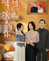 出走半生缘来是你 高清封面