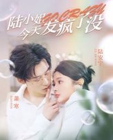 陆小姐今天发疯了没 高清封面