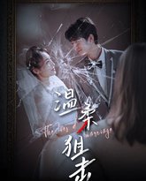 温柔狙击（婚姻迷雾）（婚姻的谎言） 高清封面