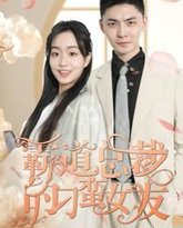 霸道总裁的刁蛮女友 高清封面